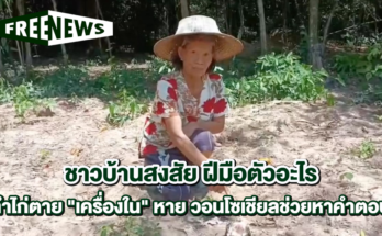 ฝีมือตัวอะไร