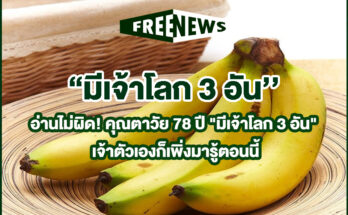 มีเจ้าโลก 3 อัน