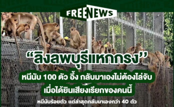 ลิงลพบุรีแหกกรง