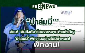 ปาล์มมี่
