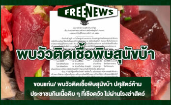 พบวัวติดเชื้อพิษสุนัขบ้า