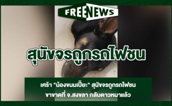 สุนัขจรถูกรถไฟชน