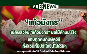 แก้วมังกร