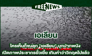 เอเลียน
