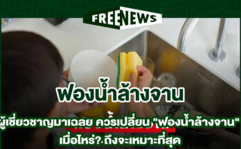 ฟองน้ำล้างจาน