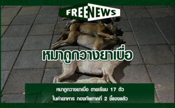 หมาถูกวางยาเบื่อ