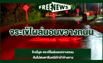 จระเข้โผล่นอนขวางถนน