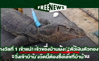 รางวัลที่ 1 เข้าแน่
