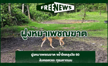 ฝูงหมาเพชฌฆาต