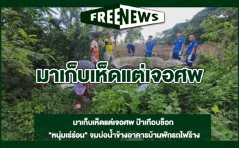 มาเก็บเห็ดแต่เจอศพ