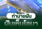 ฝันเห็นโลมา ความหมาย เลขนำโชค 2568