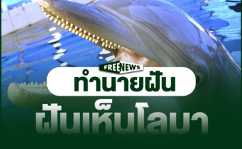 ฝันเห็นโลมา