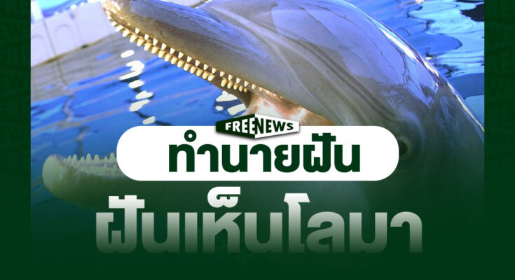 ฝันเห็นโลมา