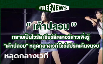 เต้าปลอม