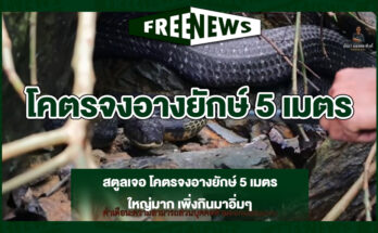 โคตรจงอางยักษ์