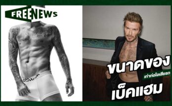 ขนาดของเบ็คแฮม