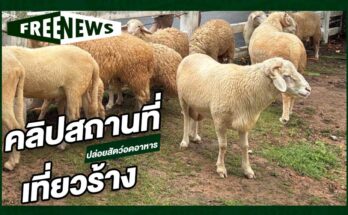 คลิปสถานที่เที่ยวร้าง