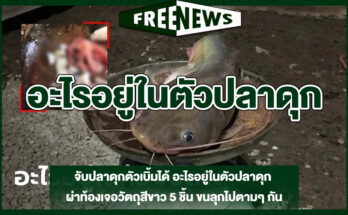 อะไรอยู่ในตัวปลาดุก