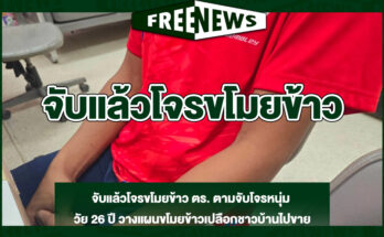 จับแล้วโจรขโมยข้าว