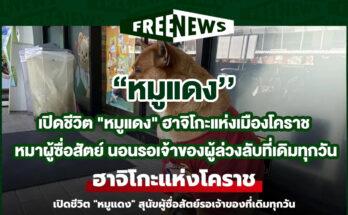 ฮาจิโกะแห่งเมืองโคราช