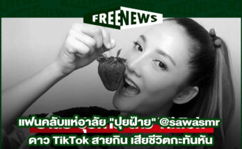 ปุยฝ้าย