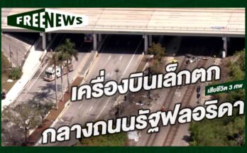 เครื่องบินเล็กตก