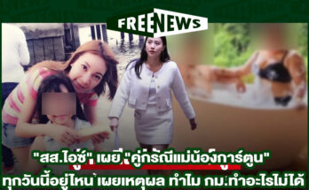 คู่กรณีแม่น้องการ์ตูน