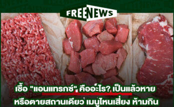 แอนแทรกซ์