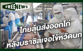 ไทยลุ้นส่งออกไก่