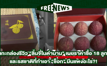 ลิ้นจี่ในตำนาน