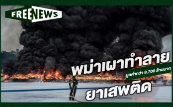พม่าเผาทำลายยา