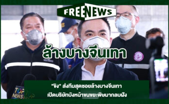 ล้างบางจีนเทา