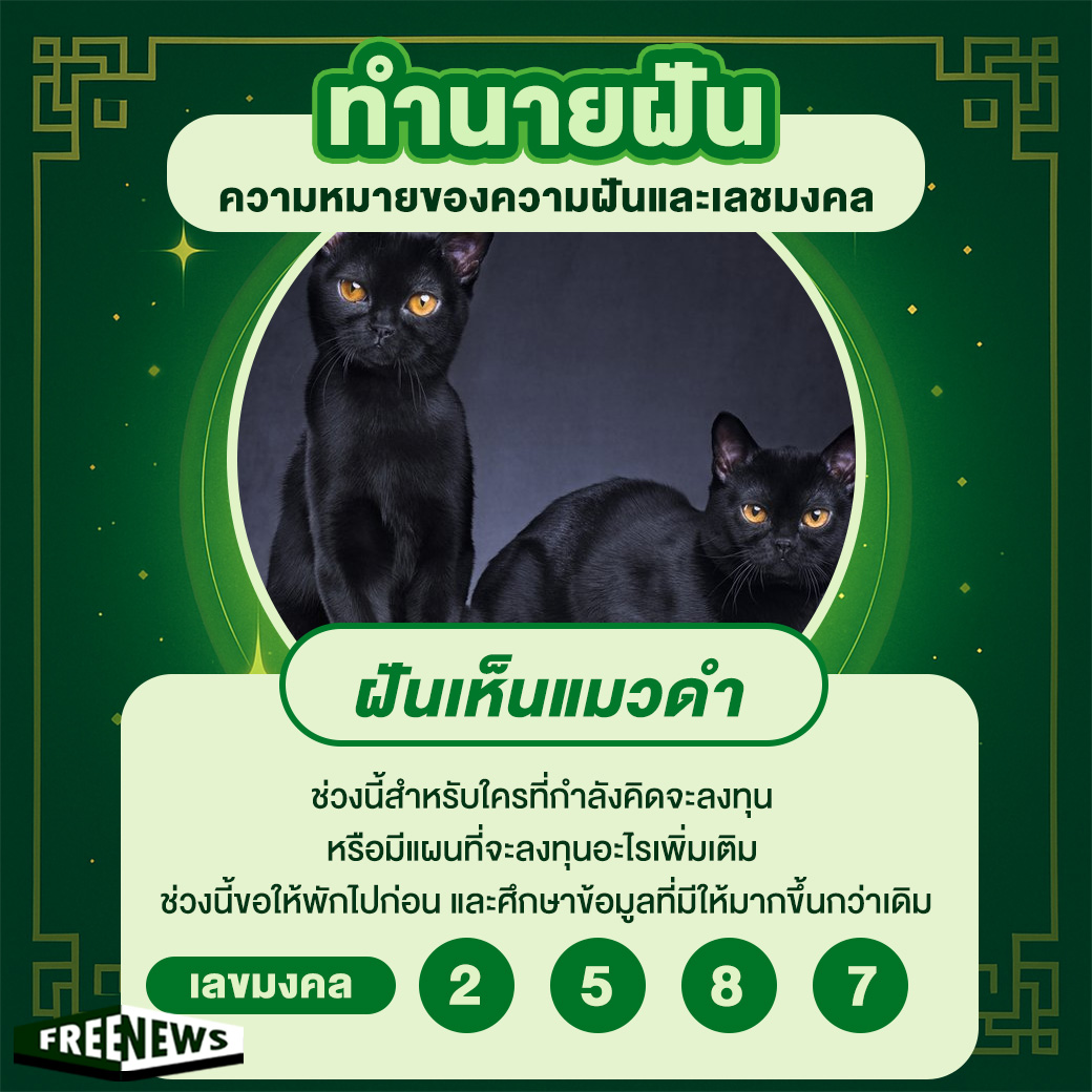 ฝันเห็นแมวดำ