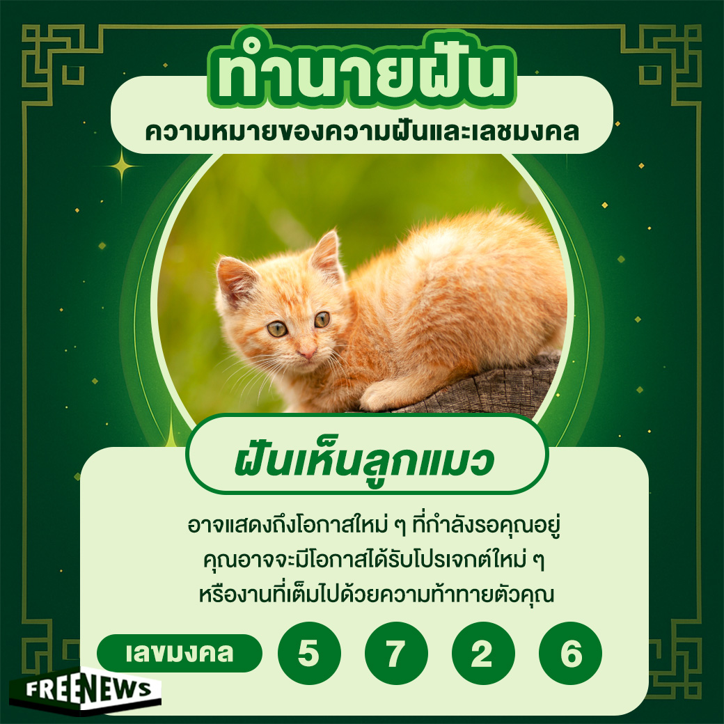 ฝันเห็นลูกแมว