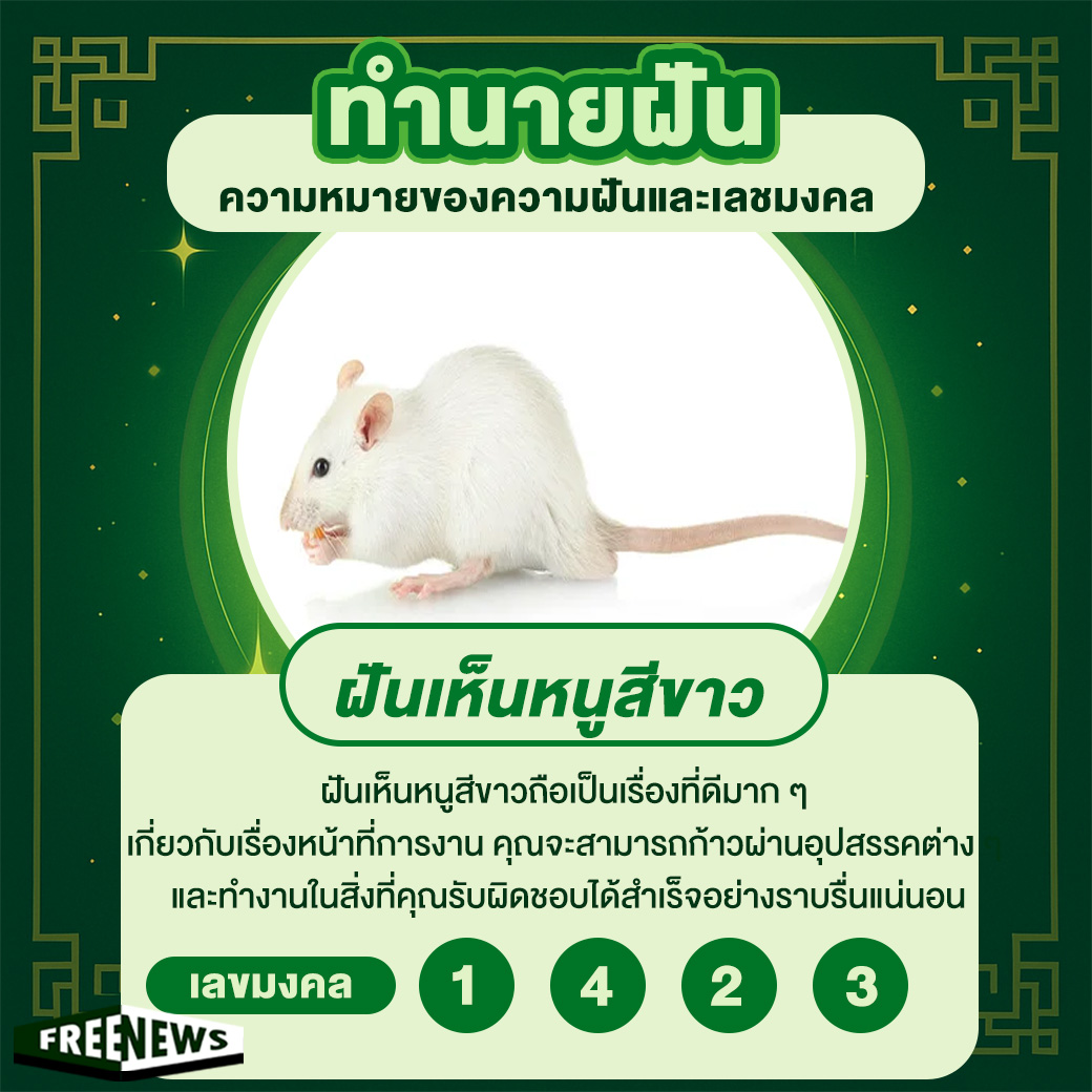 ฝันเห็นหนูสีขาว